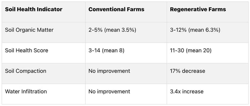 Regenerative Agriculture vs Conventional Farming: Key Differences