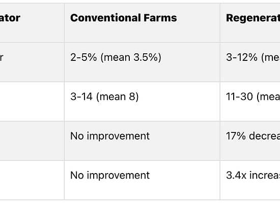 Regenerative Agriculture vs Conventional Farming: Key Differences