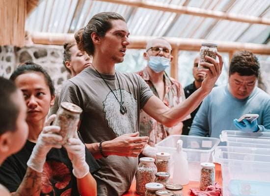 Mushroom Classes: Mycelial Mastery Course at TDF